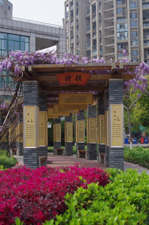 杭州东城实验学校2